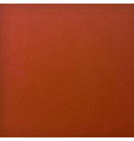 ENCORE PAPER ENCORE PAPER CANVAS TEXTURE JACK-O'-LANTERN CARDSTOCK 12x12