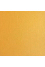 ENCORE PAPER ENCORE PAPER CANVAS TEXTURE BEEHIVE CARDSTOCK 12x12