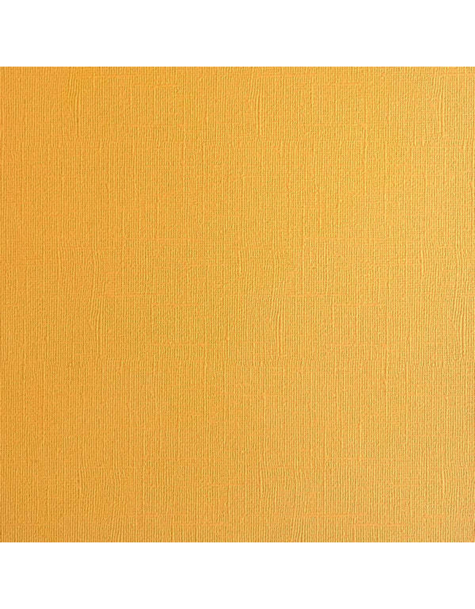 ENCORE PAPER ENCORE PAPER CANVAS TEXTURE BEEHIVE CARDSTOCK 12x12