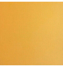 ENCORE PAPER ENCORE PAPER CANVAS TEXTURE BEEHIVE CARDSTOCK 12x12