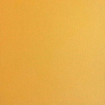 ENCORE PAPER ENCORE PAPER CANVAS TEXTURE BEEHIVE CARDSTOCK 12x12