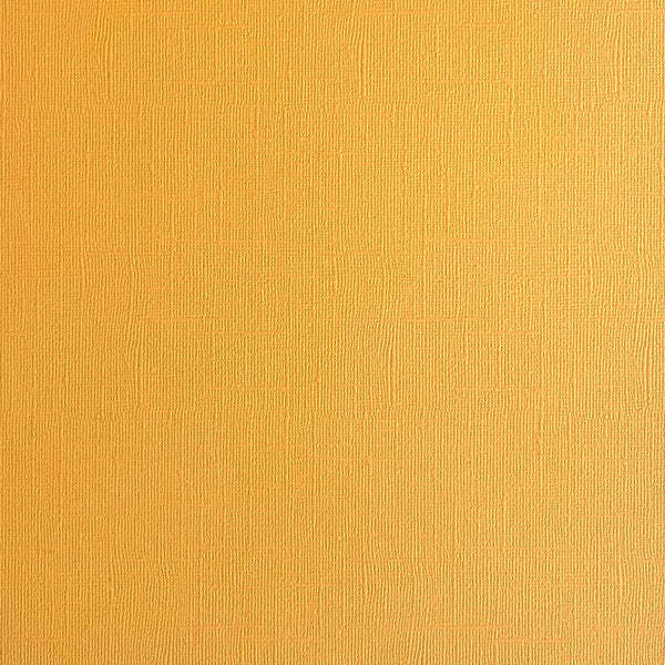 ENCORE PAPER ENCORE PAPER CANVAS TEXTURE BEEHIVE CARDSTOCK 12x12