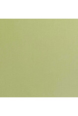 ENCORE PAPER ENCORE PAPER CANVAS TEXTURE TEA GREEN CARDSTOCK 12x12