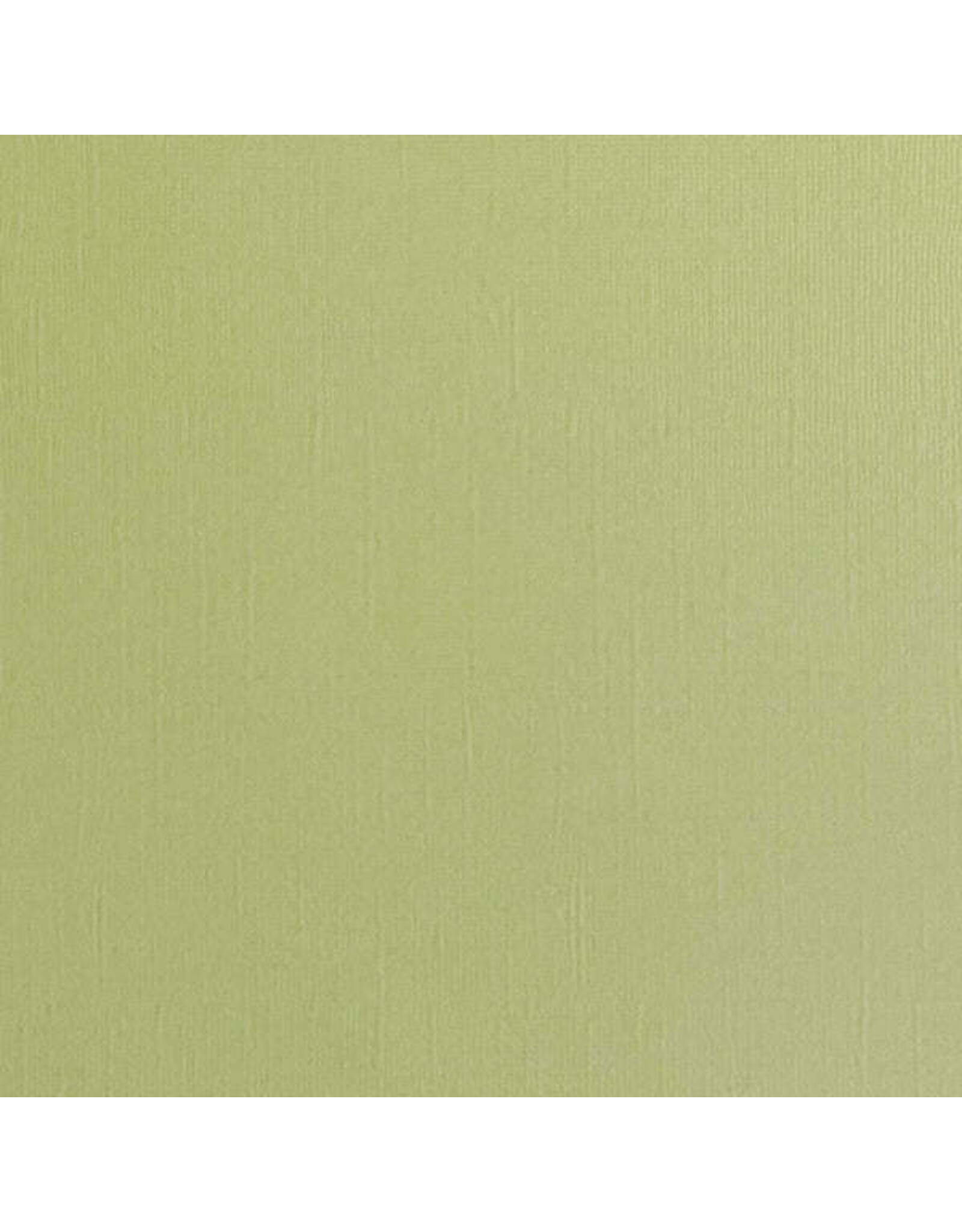 ENCORE PAPER ENCORE PAPER CANVAS TEXTURE TEA GREEN CARDSTOCK 12x12