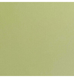ENCORE PAPER ENCORE PAPER CANVAS TEXTURE TEA GREEN CARDSTOCK 12x12