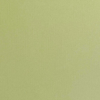 ENCORE PAPER ENCORE PAPER CANVAS TEXTURE TEA GREEN CARDSTOCK 12x12