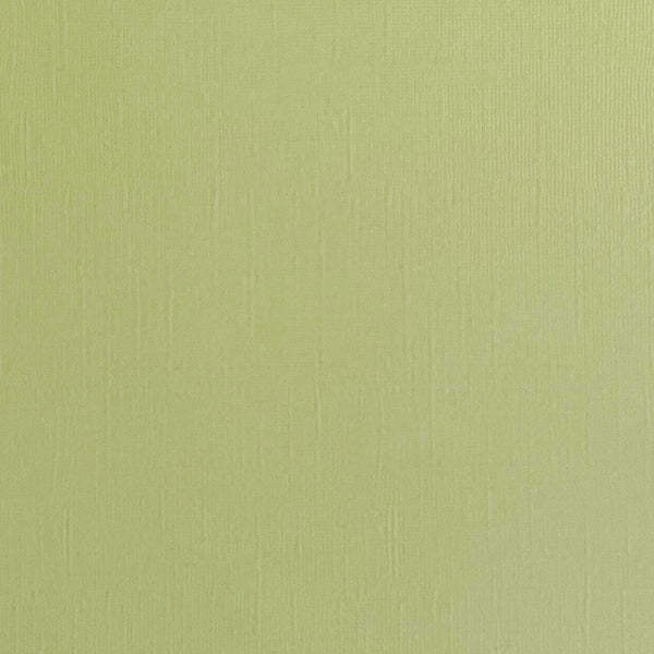 ENCORE PAPER ENCORE PAPER CANVAS TEXTURE TEA GREEN CARDSTOCK 12x12