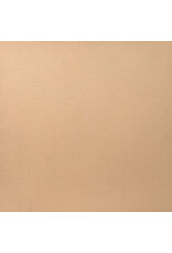 ENCORE PAPER ENCORE PAPER CANVAS TEXTURE PORCELAIN PEACH CARDSTOCK 12x12