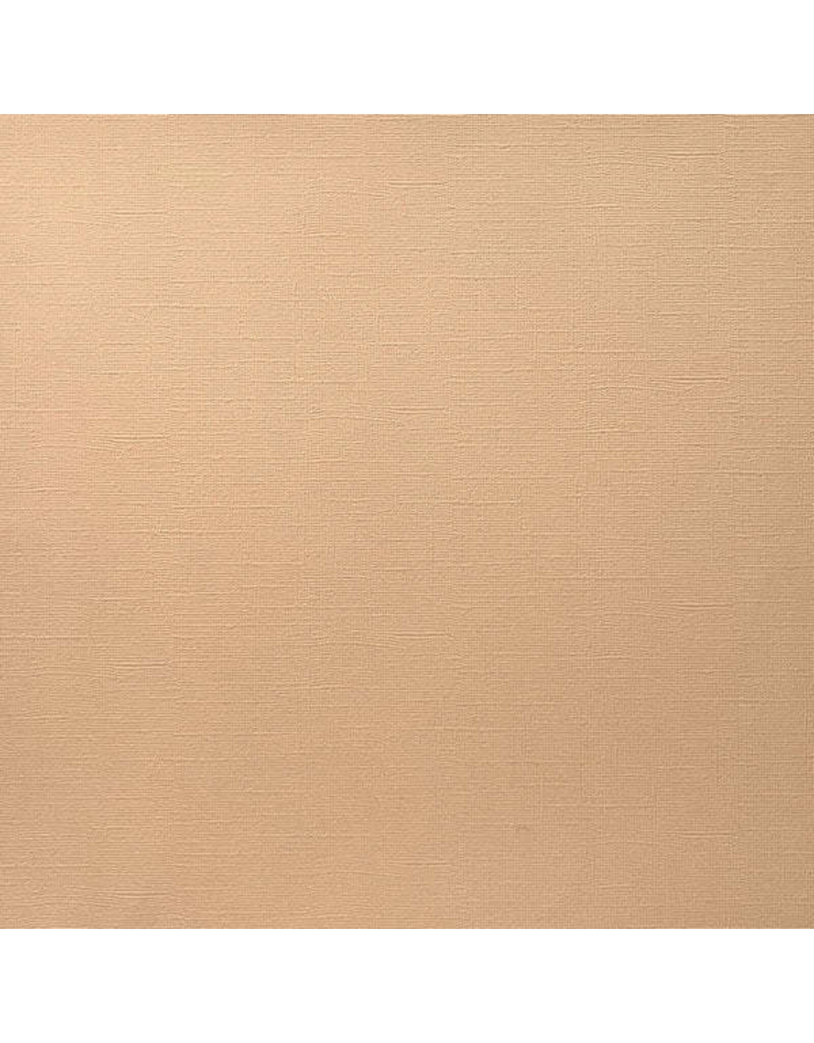 ENCORE PAPER ENCORE PAPER CANVAS TEXTURE PORCELAIN PEACH CARDSTOCK 12x12