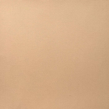 ENCORE PAPER ENCORE PAPER CANVAS TEXTURE PORCELAIN PEACH CARDSTOCK 12x12