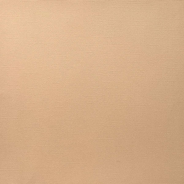 ENCORE PAPER ENCORE PAPER CANVAS TEXTURE PORCELAIN PEACH CARDSTOCK 12x12
