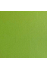 ENCORE PAPER ENCORE PAPER CANVAS TEXTURE GRASSHOPPER CARDSTOCK 12x12
