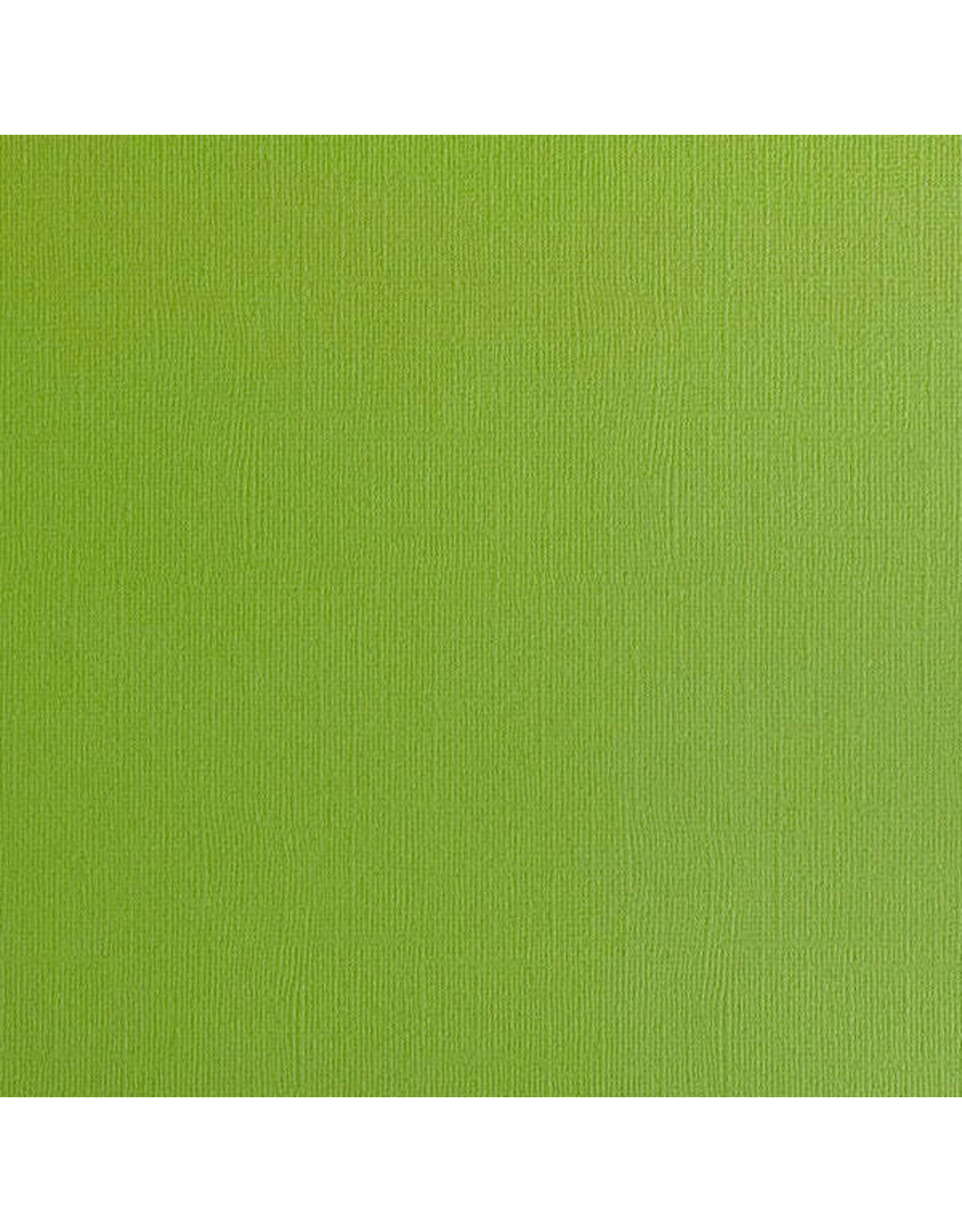 ENCORE PAPER ENCORE PAPER CANVAS TEXTURE GRASSHOPPER CARDSTOCK 12x12