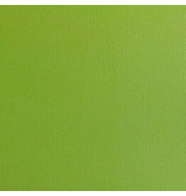 ENCORE PAPER ENCORE PAPER CANVAS TEXTURE GRASSHOPPER CARDSTOCK 12x12