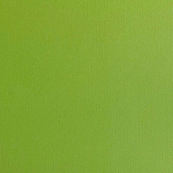 ENCORE PAPER ENCORE PAPER CANVAS TEXTURE GRASSHOPPER CARDSTOCK 12x12