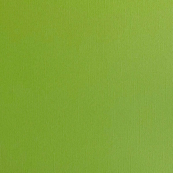 ENCORE PAPER ENCORE PAPER CANVAS TEXTURE GRASSHOPPER CARDSTOCK 12x12