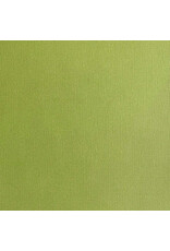 ENCORE PAPER ENCORE PAPER CANVAS TEXTURE CACTUS CARDSTOCK 12x12