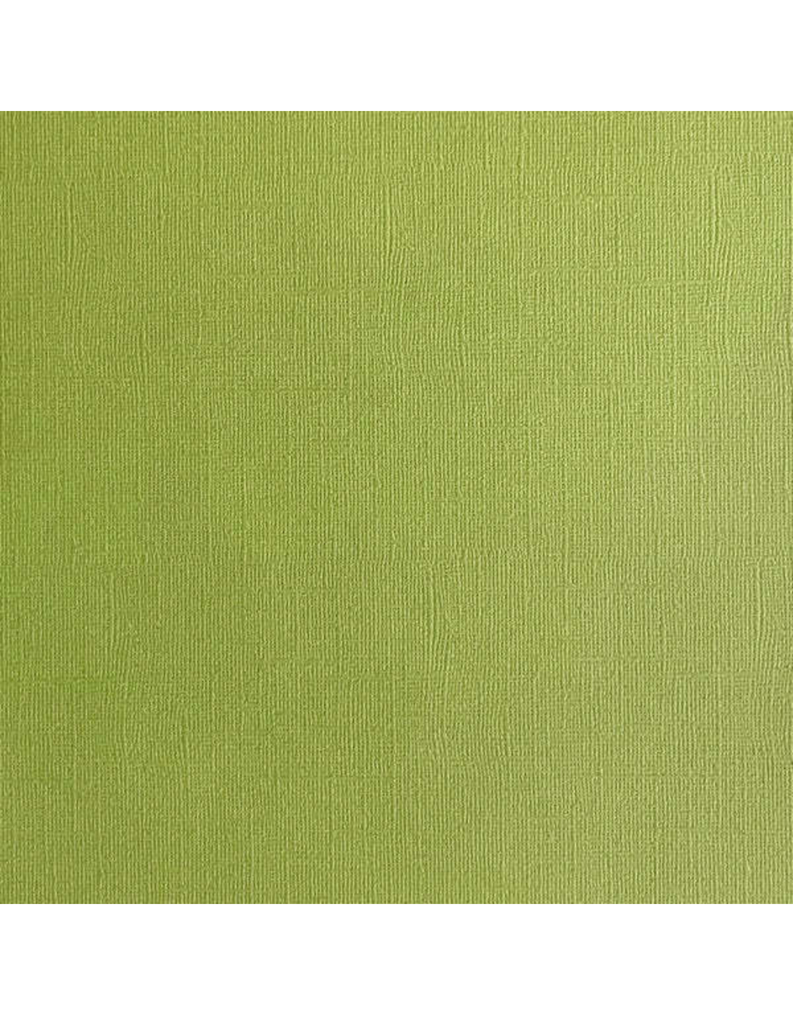 ENCORE PAPER ENCORE PAPER CANVAS TEXTURE CACTUS CARDSTOCK 12x12