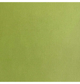 ENCORE PAPER ENCORE PAPER CANVAS TEXTURE CACTUS CARDSTOCK 12x12
