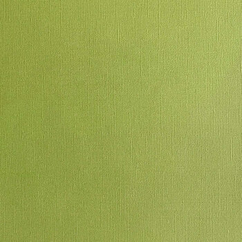 ENCORE PAPER ENCORE PAPER CANVAS TEXTURE CACTUS CARDSTOCK 12x12
