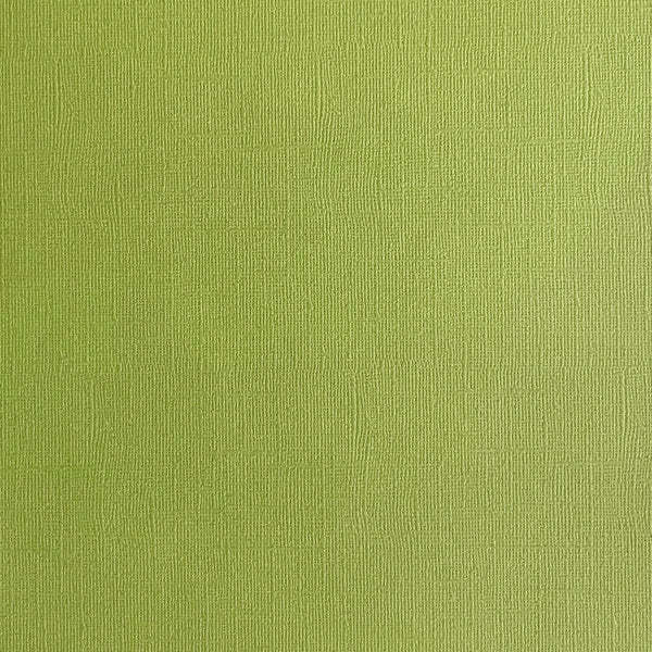 ENCORE PAPER ENCORE PAPER CANVAS TEXTURE CACTUS CARDSTOCK 12x12