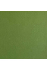 ENCORE PAPER ENCORE PAPER CANVAS TEXTURE FOREST MOSS CARDSTOCK 12x12