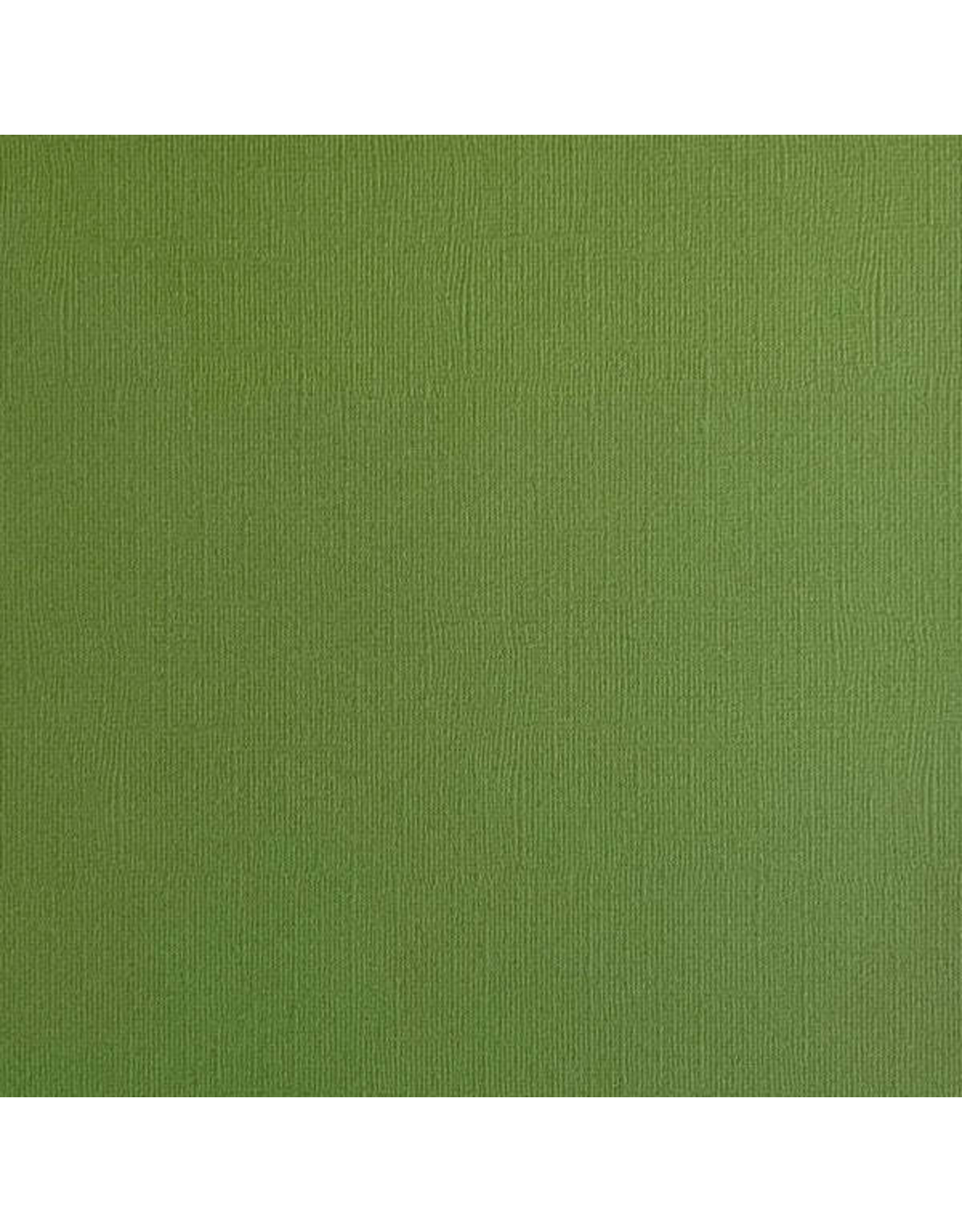 ENCORE PAPER ENCORE PAPER CANVAS TEXTURE FOREST MOSS CARDSTOCK 12x12