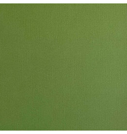 ENCORE PAPER ENCORE PAPER CANVAS TEXTURE FOREST MOSS CARDSTOCK 12x12