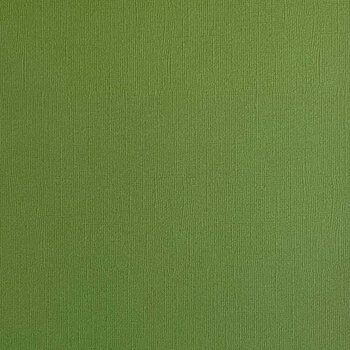 ENCORE PAPER ENCORE PAPER CANVAS TEXTURE FOREST MOSS CARDSTOCK 12x12