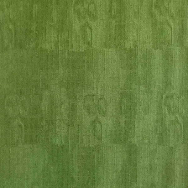 ENCORE PAPER ENCORE PAPER CANVAS TEXTURE FOREST MOSS CARDSTOCK 12x12