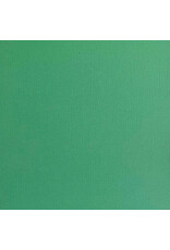 ENCORE PAPER ENCORE PAPER CANVAS TEXTURE SHAMROCK CARDSTOCK 12x12