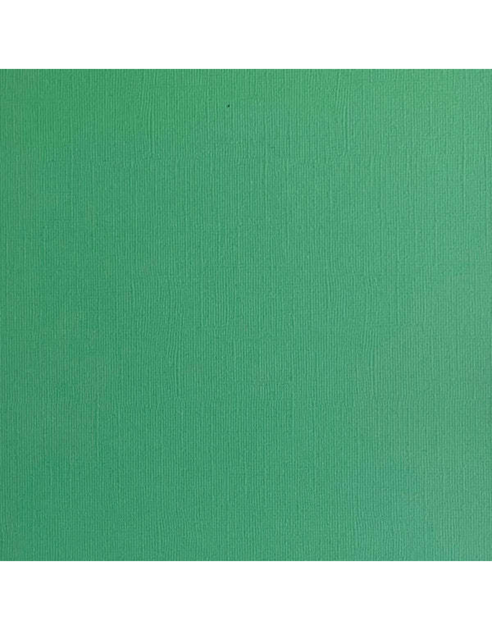 ENCORE PAPER ENCORE PAPER CANVAS TEXTURE SHAMROCK CARDSTOCK 12x12