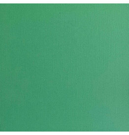 ENCORE PAPER ENCORE PAPER CANVAS TEXTURE SHAMROCK CARDSTOCK 12x12