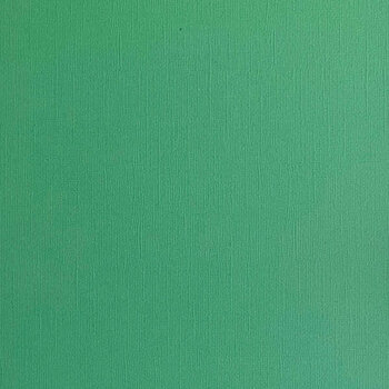 ENCORE PAPER ENCORE PAPER CANVAS TEXTURE SHAMROCK CARDSTOCK 12x12