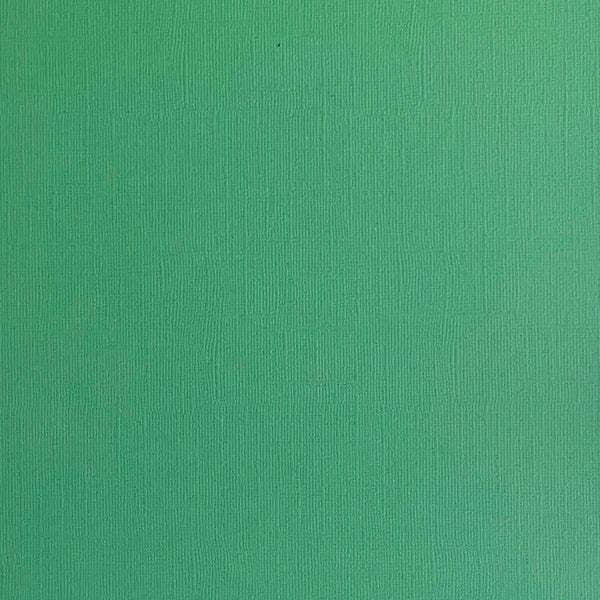 ENCORE PAPER ENCORE PAPER CANVAS TEXTURE SHAMROCK CARDSTOCK 12x12