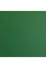 ENCORE PAPER ENCORE PAPER CANVAS TEXTURE FOREST GREEN CARDSTOCK 12x12