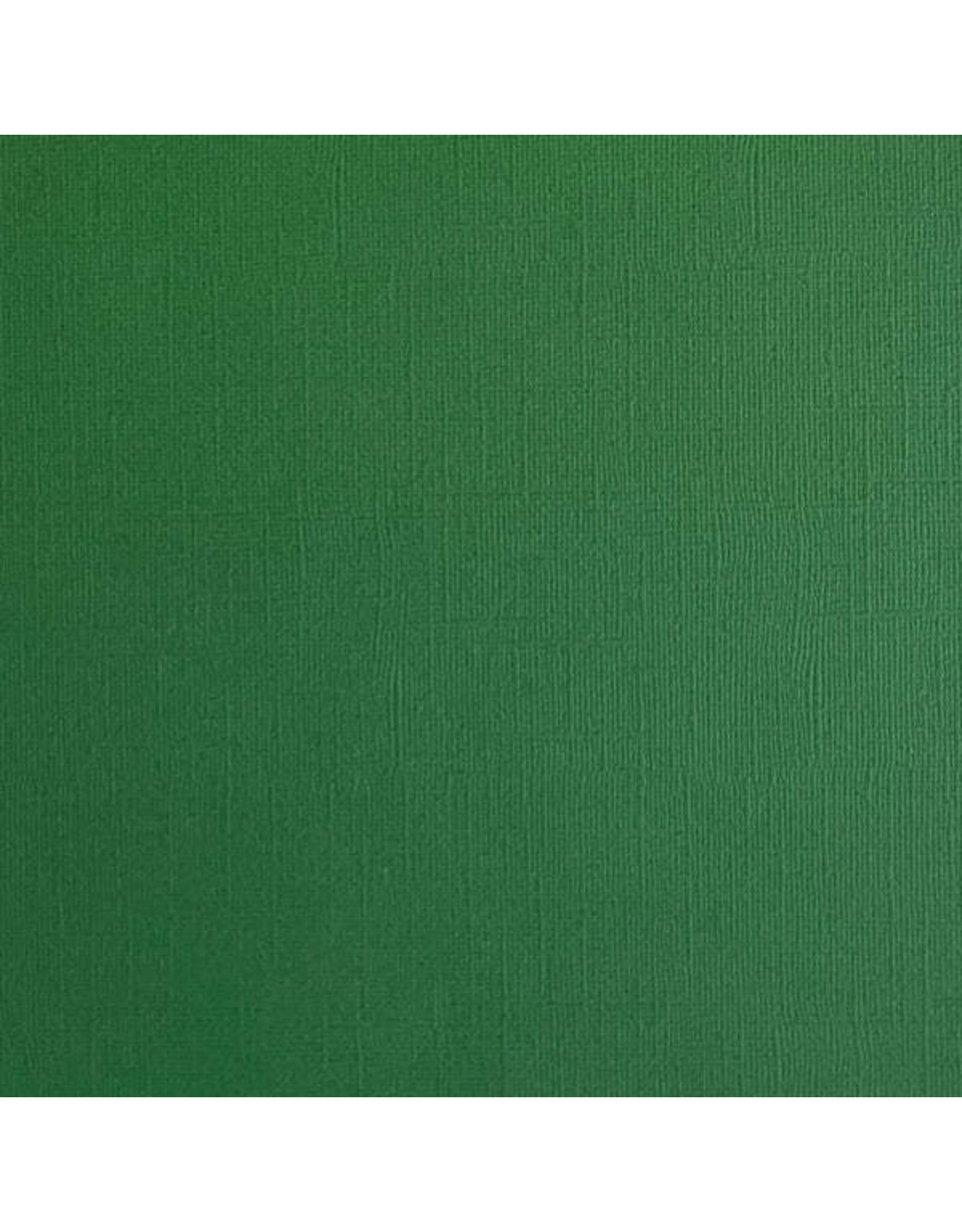 ENCORE PAPER ENCORE PAPER CANVAS TEXTURE FOREST GREEN CARDSTOCK 12x12