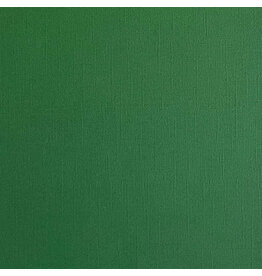 ENCORE PAPER ENCORE PAPER CANVAS TEXTURE FOREST GREEN CARDSTOCK 12x12