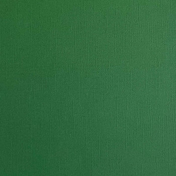 ENCORE PAPER ENCORE PAPER CANVAS TEXTURE FOREST GREEN CARDSTOCK 12x12