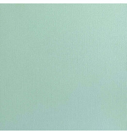 ENCORE PAPER ENCORE PAPER CANVAS TEXTURE FOUNTAIN CARDSTOCK 12x12