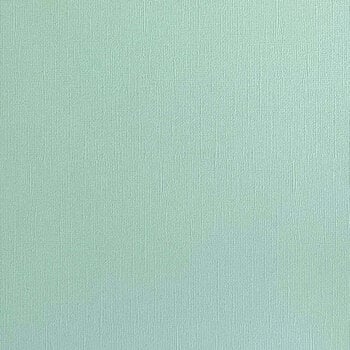 ENCORE PAPER ENCORE PAPER CANVAS TEXTURE FOUNTAIN CARDSTOCK 12x12