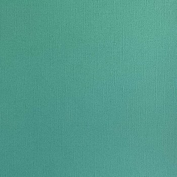 ENCORE PAPER ENCORE PAPER CANVAS TEXTURE SEA GLASS CARDSTOCK 12x12