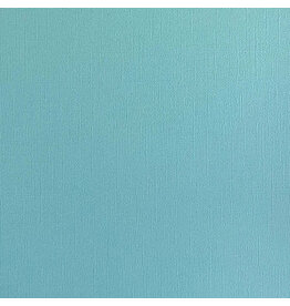 ENCORE PAPER ENCORE PAPER CANVAS TEXTURE SEA MIST CARDSTOCK 12x12