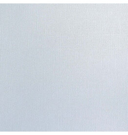 ENCORE PAPER ENCORE PAPER CANVAS TEXTURE GLACIER MELT CARDSTOCK 12x12
