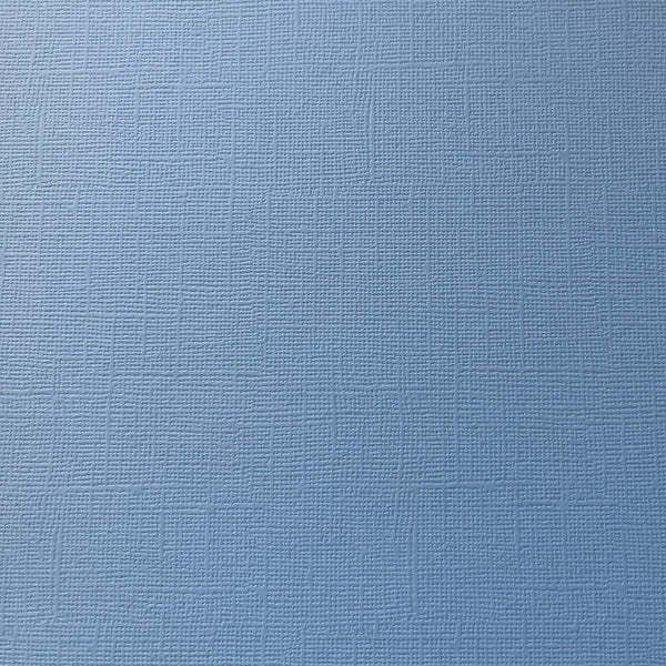 ENCORE PAPER ENCORE PAPER CANVAS TEXTURE BLUE SKY CARDSTOCK 12x12