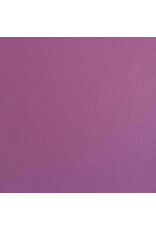 ENCORE PAPER ENCORE PAPER CANVAS TEXTURE SPRING CROCUS CARDSTOCK 12x12