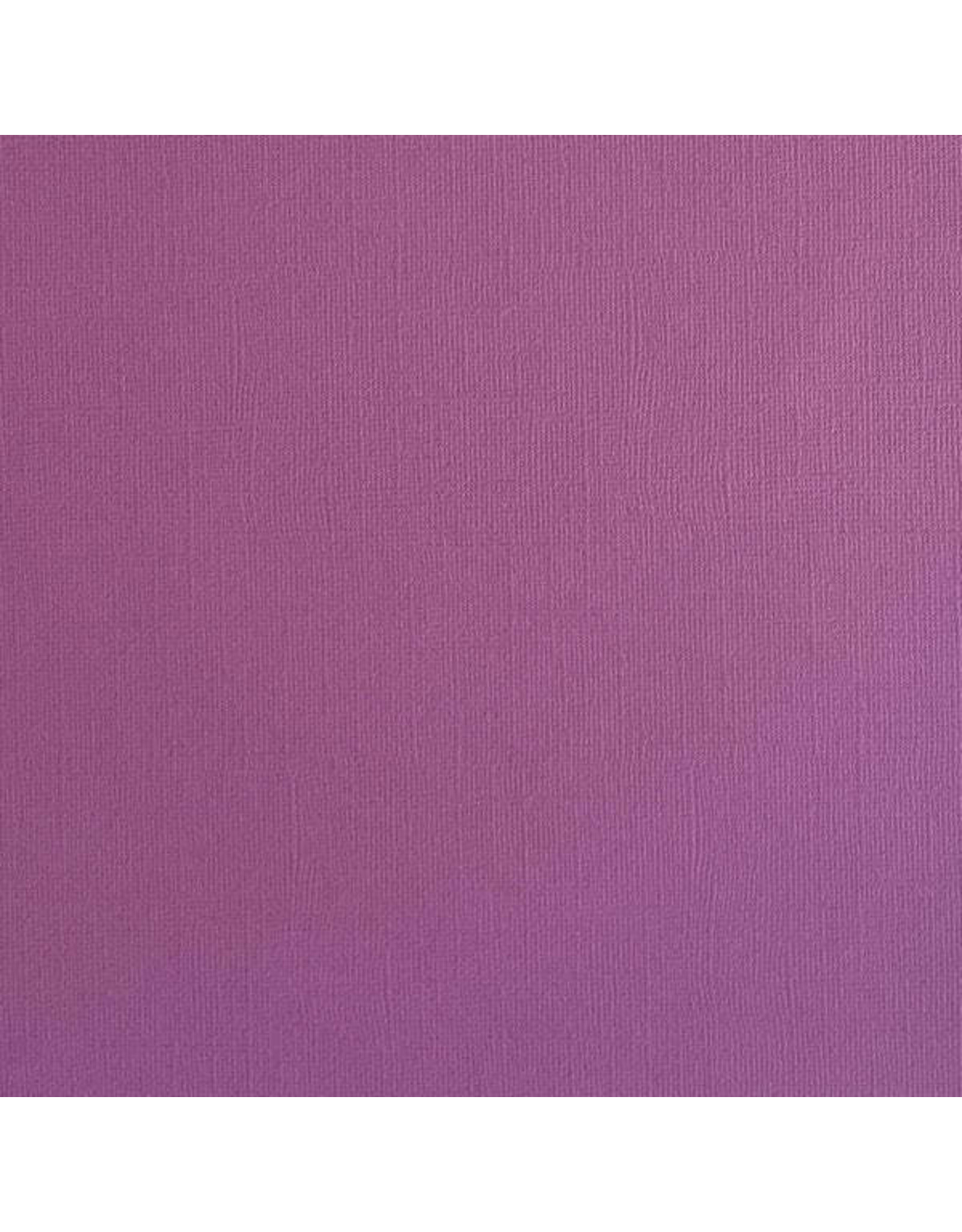 ENCORE PAPER ENCORE PAPER CANVAS TEXTURE SPRING CROCUS CARDSTOCK 12x12