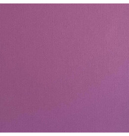 ENCORE PAPER ENCORE PAPER CANVAS TEXTURE SPRING CROCUS CARDSTOCK 12x12