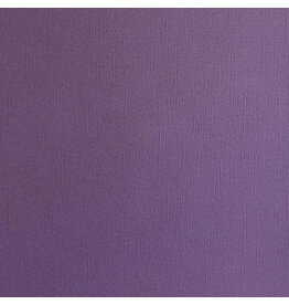 ENCORE PAPER ENCORE PAPER CANVAS TEXTURE SUGAR PLUM CARDSTOCK 12x12