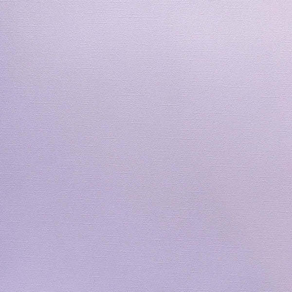 ENCORE PAPER ENCORE PAPER CANVAS TEXTURE MORNING GLORY CARDSTOCK 12x12